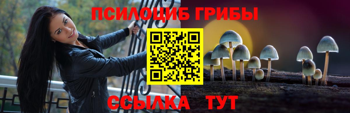 Кореновск  Псилоцибиновые грибы Cubensis  наркота  Вход с VPN 